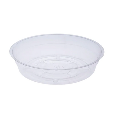 Clear Saucer - 6 Inch