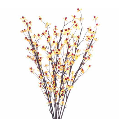 Bittersweet Branch