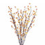 Bittersweet Branch