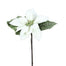 15 in Deluxe Poinsettia Pick - White/Green