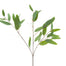 Mini Heart Eucalyptus Sage
