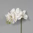 28" 3D Phalaenopsis - White