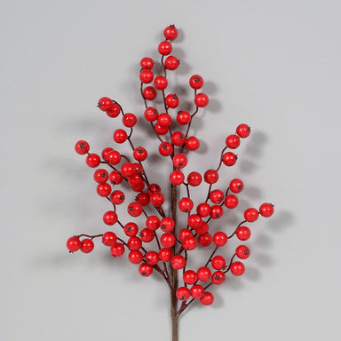 Berry Spray