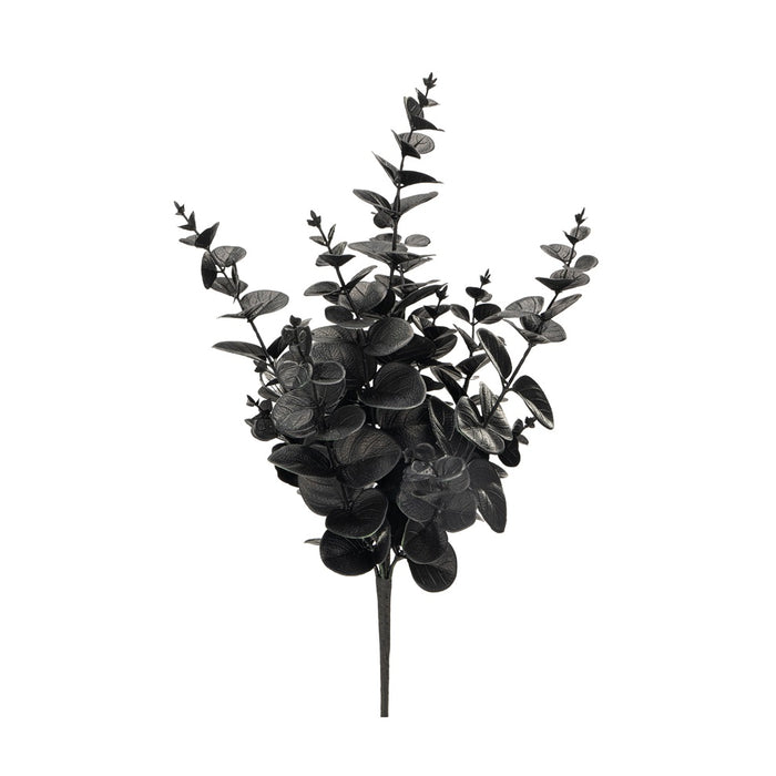 19 in Eucalyptus Bush - Black
