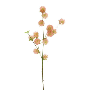 30 in Burr Spray - Coral