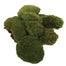 Mood Moss
