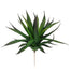 6 in Agave Pick