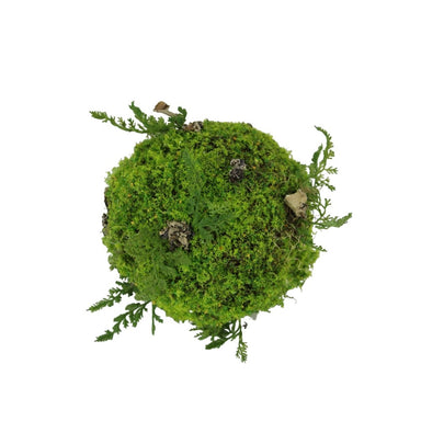 5.5 in Moss Orb - Green
