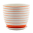 6" White/Orange Striped Pot w/Saucer