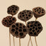 Small Lotus Pod/Stem - Natural