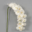 60 inPolyester Phalaenopsis Stem