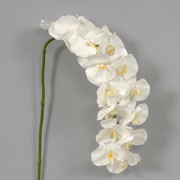 60 inPolyester Phalaenopsis Stem