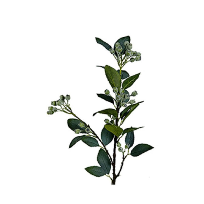 26 in Orchard Berry Branch - Green