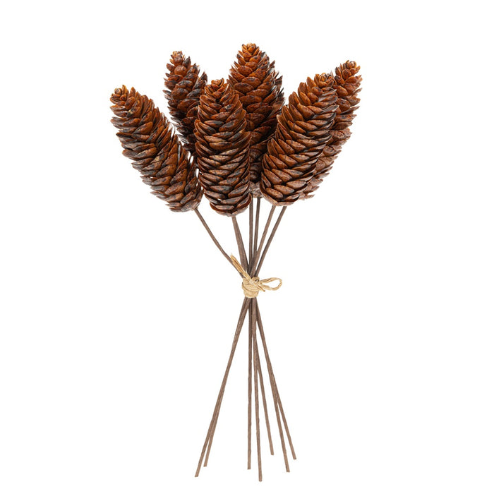 11 in Pine Cone Bundle - Brown