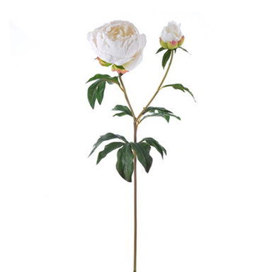 27 in Peony - Beige