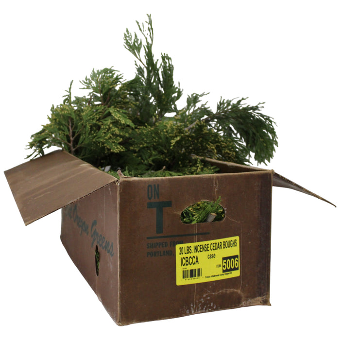 20 Pound Incense Cedar Case