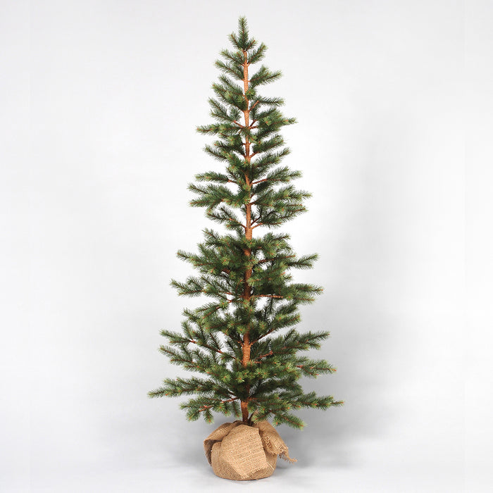 5' Pine Tree w/Burlap/Cement Base