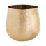 Delany Pot