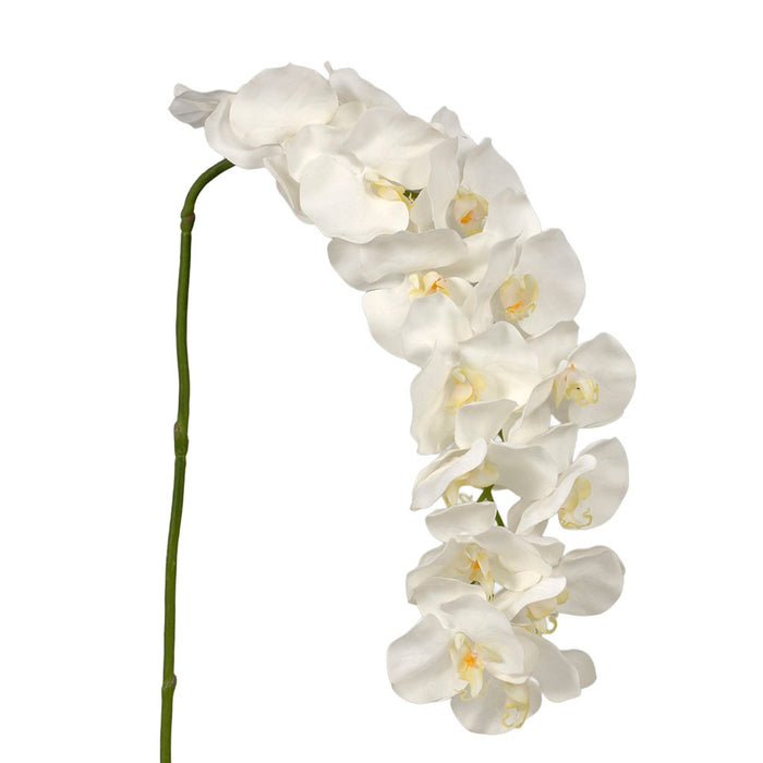 60 inPolyester Phalaenopsis Stem