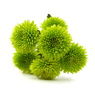 Pomps