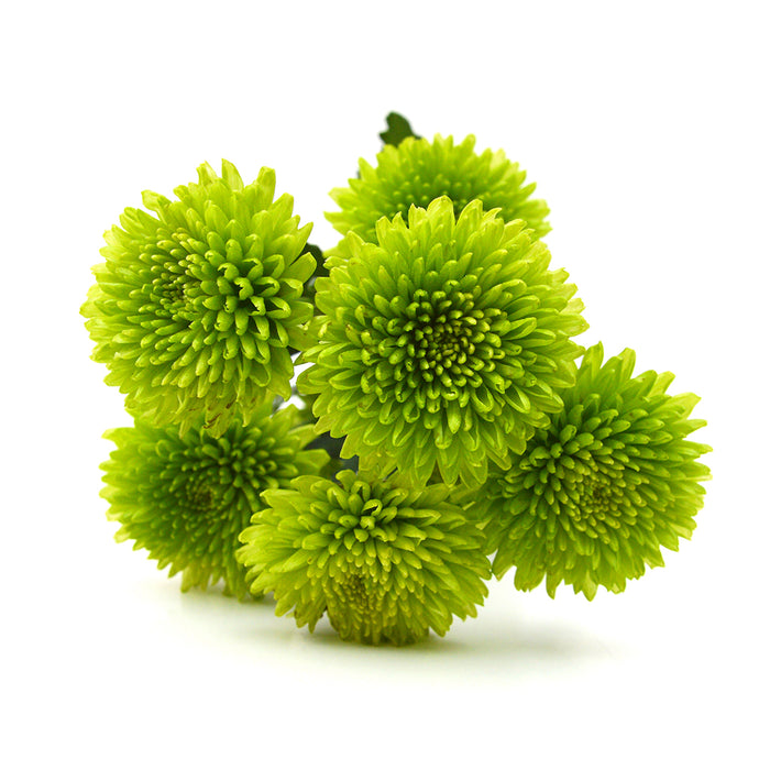 Pomps