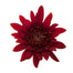 Pomps