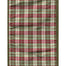 #100 Wired Middlebury Ribbon - Apple