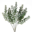 11" Frond Succulent Plant - Blue/Green