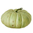 10 in Pumpkin - Cream/Green